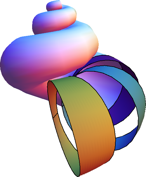 図1. 付加成長と成長勾配
