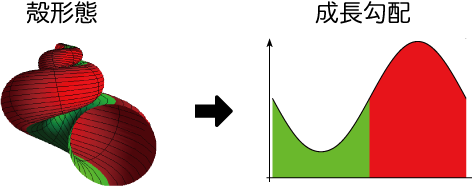 研究目的 研究目的