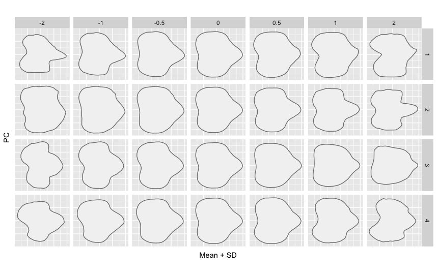 主成分軸に沿った形状の変化